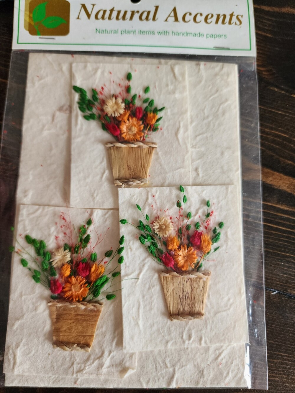 Real Pressed Flowers Card Handcrafted - Crafts Scrapbooking O Vintage Sealed #24